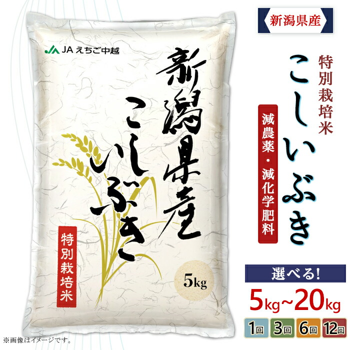 発送時期、容量、回数が選べる！　新潟のブランド米【こしいぶき】