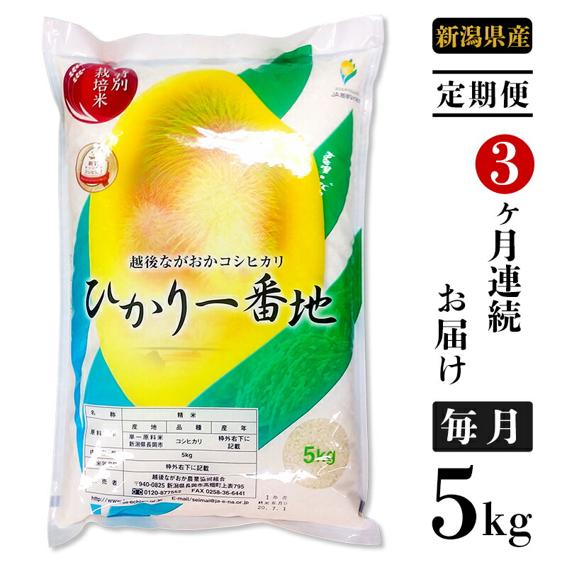 安い ふるさと納税 米 定期便 5kg 白米 コシヒカリ 新潟 令和2年 75 2n053 3ヶ月連続お届け 新潟県長岡産コシヒカリ5kg 特別栽培米 楽天ランキング1位 Www Ynbcci Org Sa 安い ふるさと納税 米 定期便 5kg 白米 コシヒカリ 新潟 令和2年 75 2n053 3ヶ月連続お届け 新潟県長岡産コシヒカリ5kg 特別栽培米 楽天ランキング1位 Www Ynbcci Org Sa