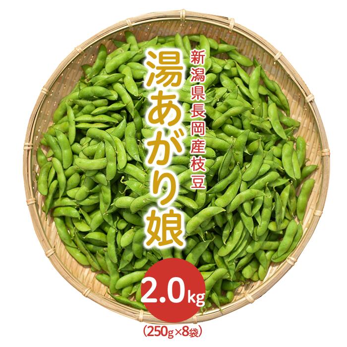 ふるさと納税 最大71%OFFクーポン 新品 送料無料 75E-02新潟県長岡産枝豆2.0kg 湯あがり娘250g×8袋入り