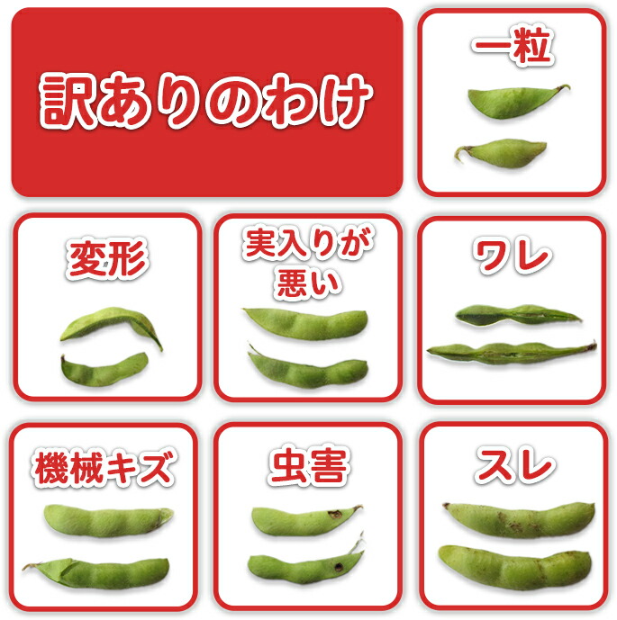 【ふるさと納税】75E-B5【訳あり】新潟長岡産枝豆長岡茶豆5.0kg【B品】