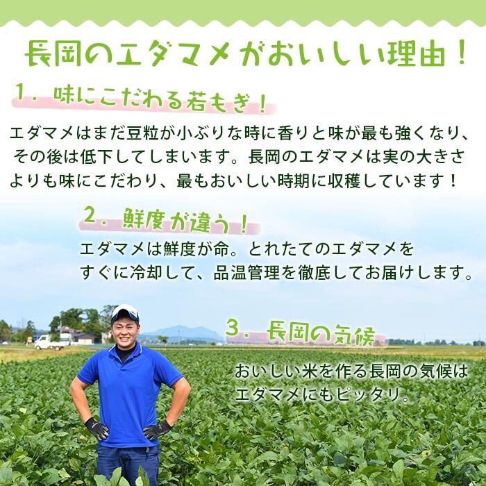 【ふるさと納税】75E-B5【訳あり】新潟長岡産枝豆長岡茶豆5.0kg【B品】