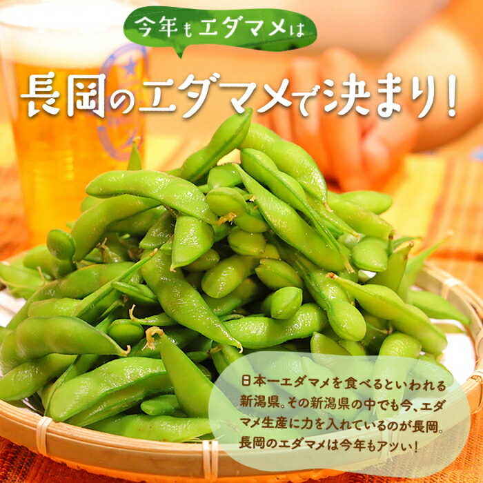 【ふるさと納税】75E-B5【訳あり】新潟長岡産枝豆長岡茶豆5.0kg【B品】