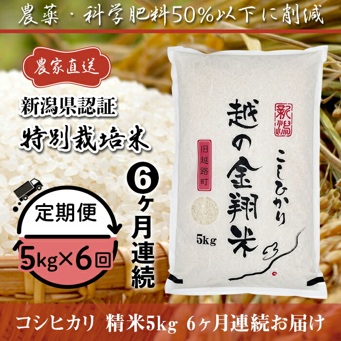 新しいスタイル 米 定期便 5kg 6ヶ月 白米 コシヒカリ 新潟 令和4年 J8