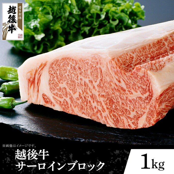 【ふるさと納税】63-42B新潟県産 越後牛サーロインブロック1kg｜新潟県長岡市