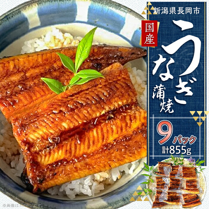 【ふるさと納税】H7-84A【簡単調理】国産鰻蒲焼　95g×9パック