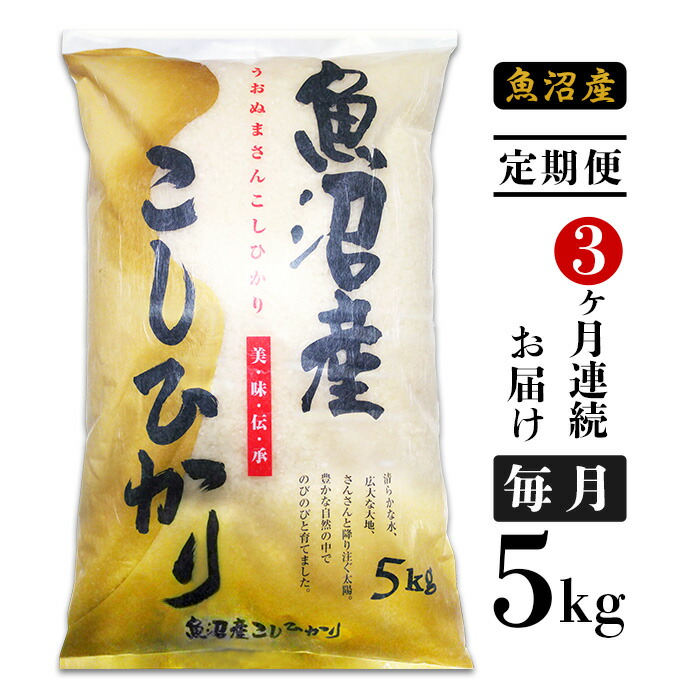 【ふるさと納税】米 定期便 5kg 白米 コシヒカリ 魚沼 令和2年 新米 C2-053【3ヶ月連続お届け】