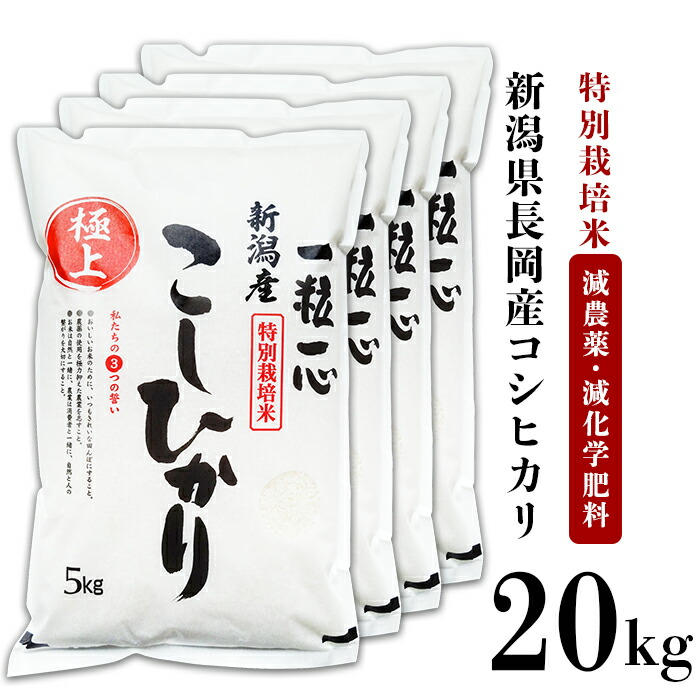 柔らかい 楽天市場 ふるさと納税 米 白米 コシヒカリ 新潟 令和2年 48 1新潟県長岡産特別栽培米コシヒカリkg 新潟県長岡市 新作モデル Blog Belasartes Br