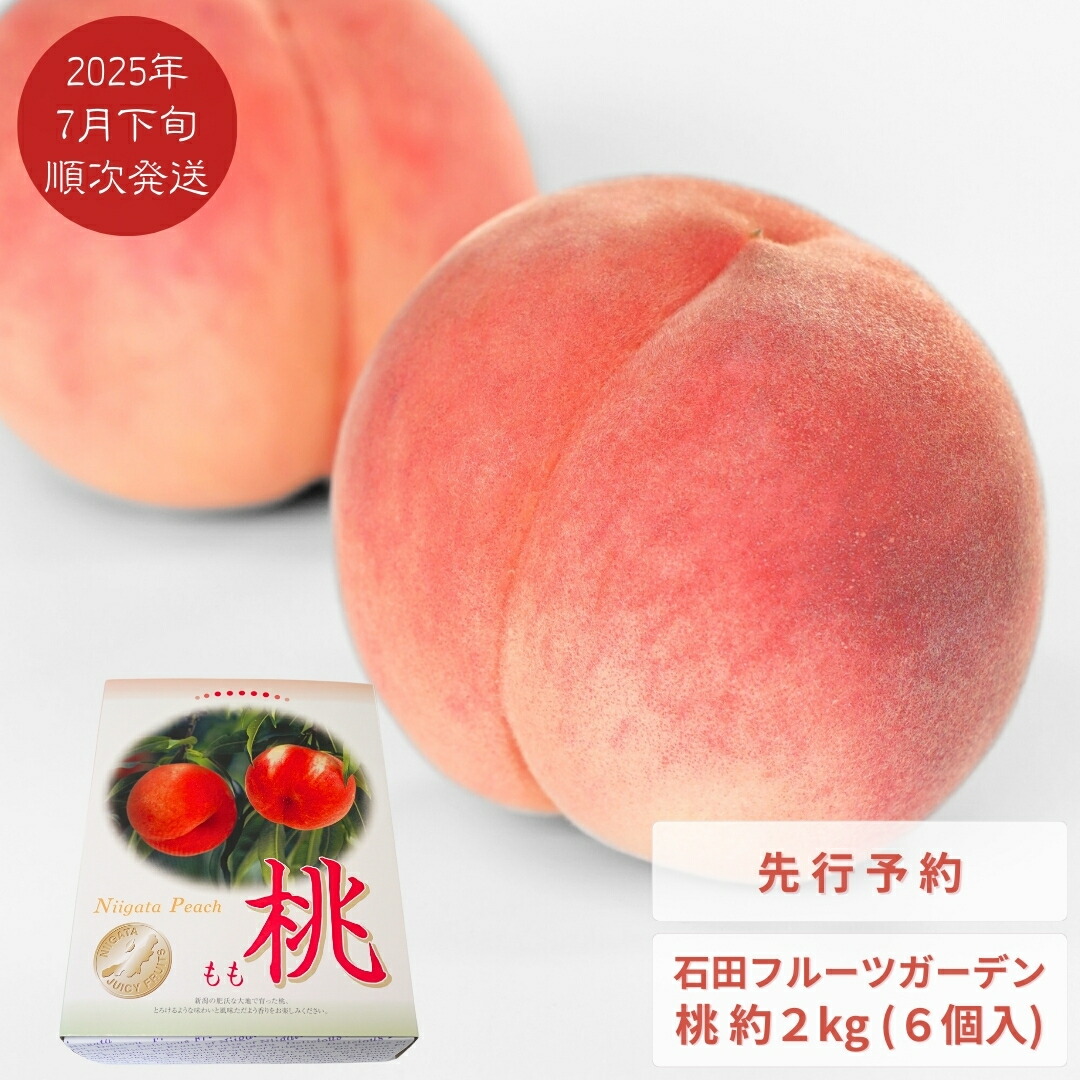 【ふるさと納税】先行予約 桃 約2kg (6個入) [2025年発送分] 令和7年産 新潟フルーツ 新潟県産桃 [石田フルーツガーデン]【011P011】