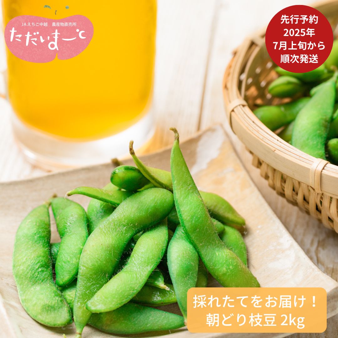【ふるさと納税】先行予約 採れたてをお届け！朝どり枝豆 2kg (1kg×2袋)  [7月上旬から発送予定] 新潟県産 えだまめ [JAえちご中越]【010S119】