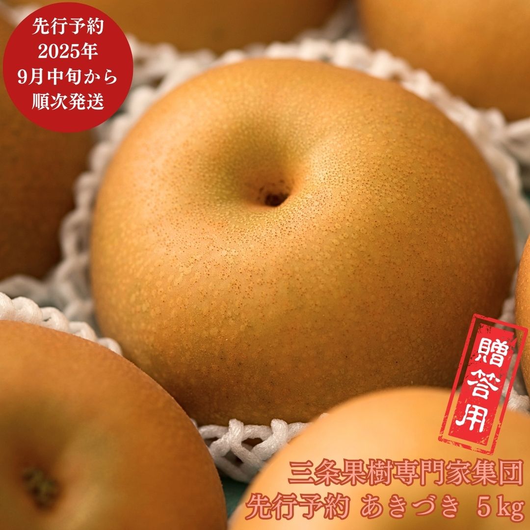【ふるさと納税】先行予約 和梨 あきづき 約5kg [9月中旬から発送予定] 令和7年度 贈答用 新潟県 三条市産 [三条果樹専門家集団]【016P021】