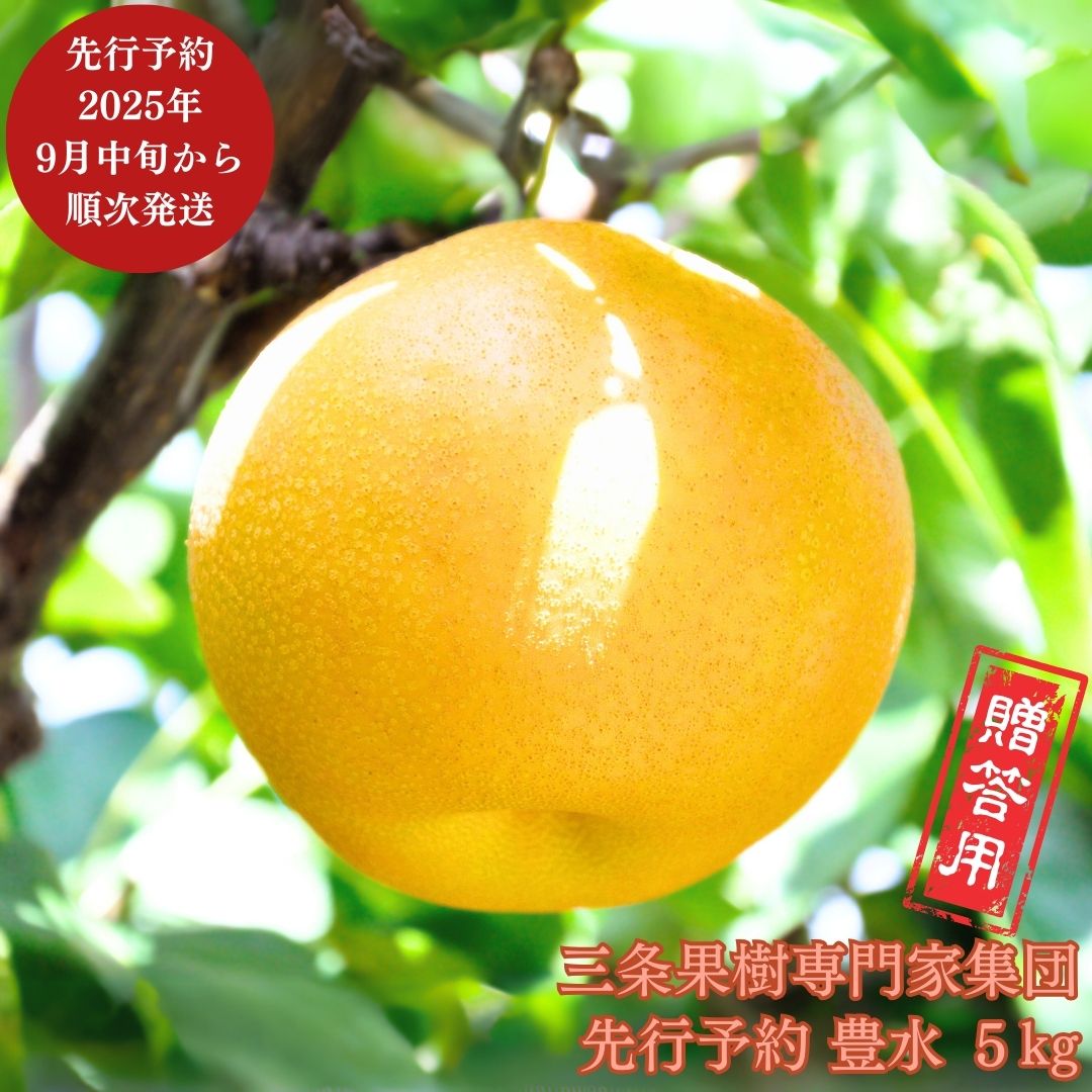 【ふるさと納税】先行予約 和梨 豊水 約5kg [9月中旬から発送予定] 令和7年度 贈答用 新潟県 三条市産 梨 [三条果樹専門家集団] 【016P020】