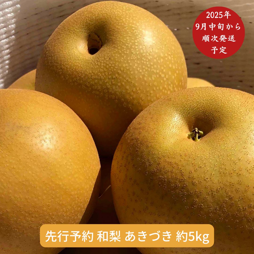 【ふるさと納税】先行予約 和梨 あきづき 5kg [9月中旬から発送予定] 令和7年度 新潟県産 梨 [さとうファーム] 【014S011】