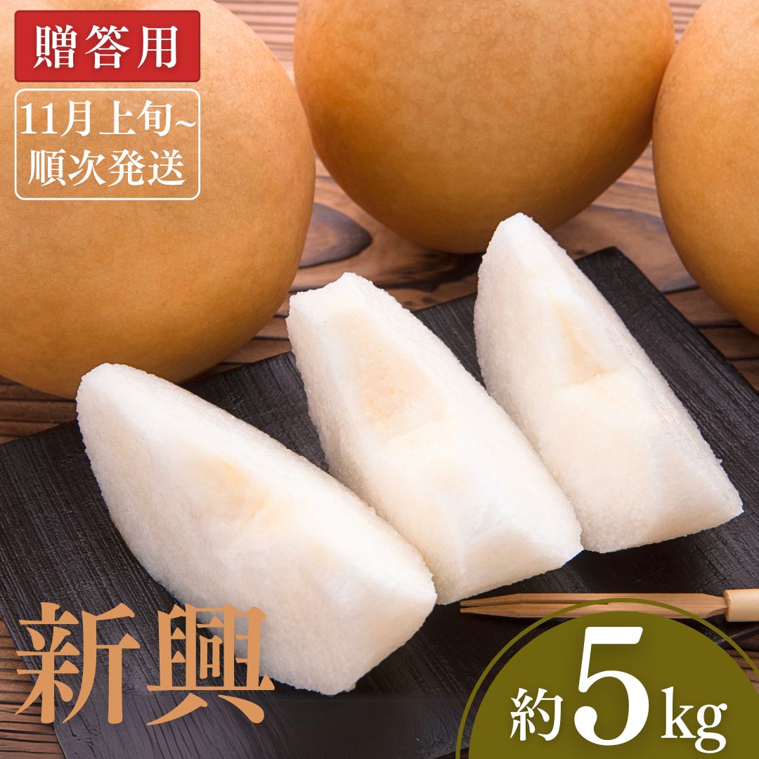 【ふるさと納税】【2025年産先行予約】 和梨 新興 約5kg [11月上旬から発送予定] 令和7年度 新潟県 三条市産 梨 [小林農園]【012P047】