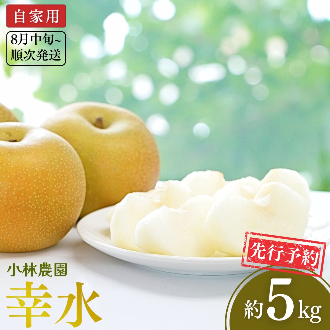 【ふるさと納税】先行予約 和梨 幸水 自家用 約5kg [8月中旬から発送予定]令和7年度 新潟県 三条市産 梨 [小林農園]【010P078】