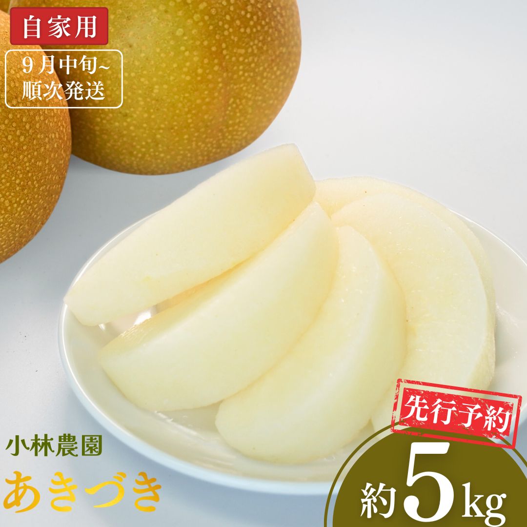 【ふるさと納税】先行予約 和梨 あきづき 自家用 約5kg [9月中旬から発送予定] 令和7年度 新潟県 三条市産 梨 [小林農園]【010P073】