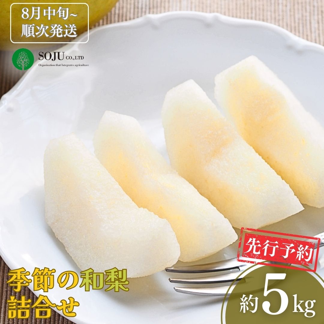 【ふるさと納税】先行予約 季節の和梨詰合せ 約5kg [8月中旬から発送予定] 令和7年度 新潟県 三条市産 梨  [三条果樹専門家集団]【016P043】