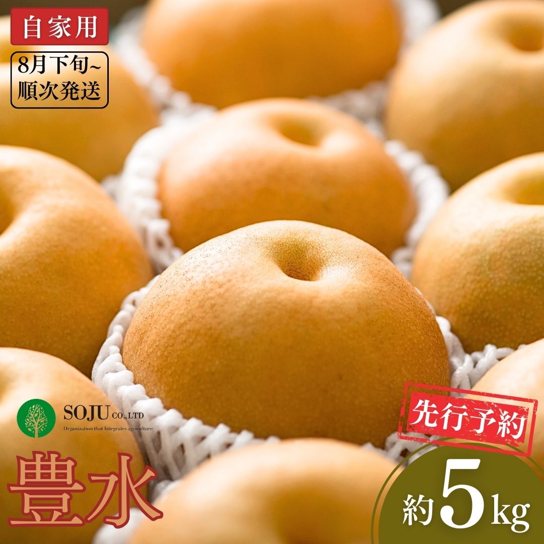 【ふるさと納税】先行予約 和梨 豊水 自家用 約5kg [8月下旬から発送予定] 令和7年度 新潟フルーツ 新潟県産 三条市 梨 [三条果樹専門家集団]【010P055】