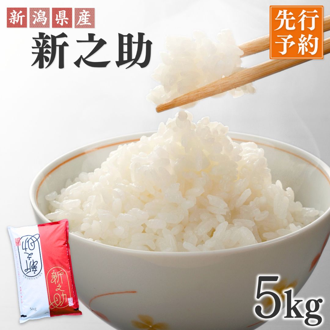 【ふるさと納税】先行予約 新潟県三条産新之助 5kg&times;1袋 令和8年産新之助 精米 新潟県産新之助 【017S140】｜新潟県三条市