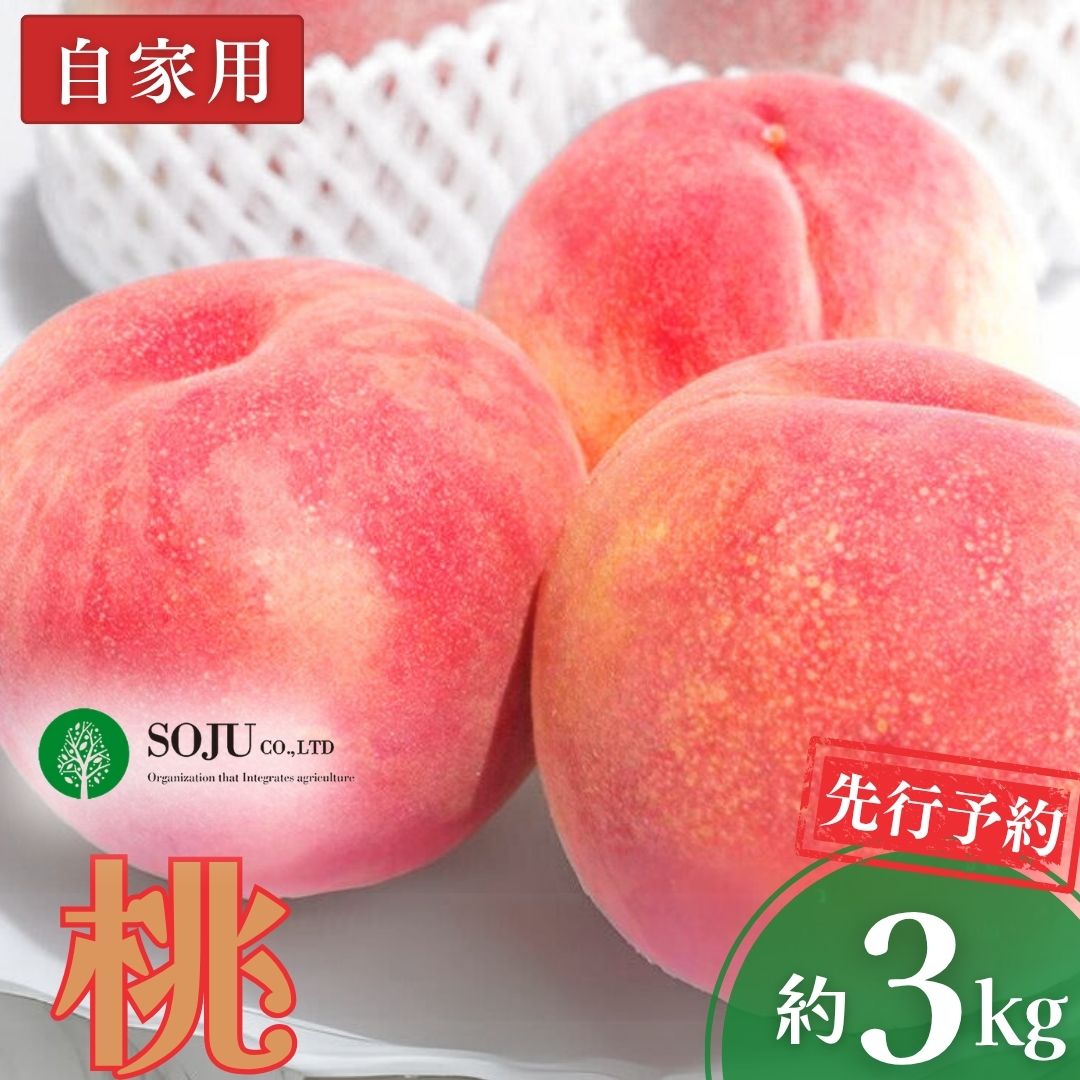 【ふるさと納税】先行予約 桃 自家用 約3kg 令和8年度 新潟県 三条市産 もも [三条果樹専門家集団] 【010P044】｜新潟県三条市