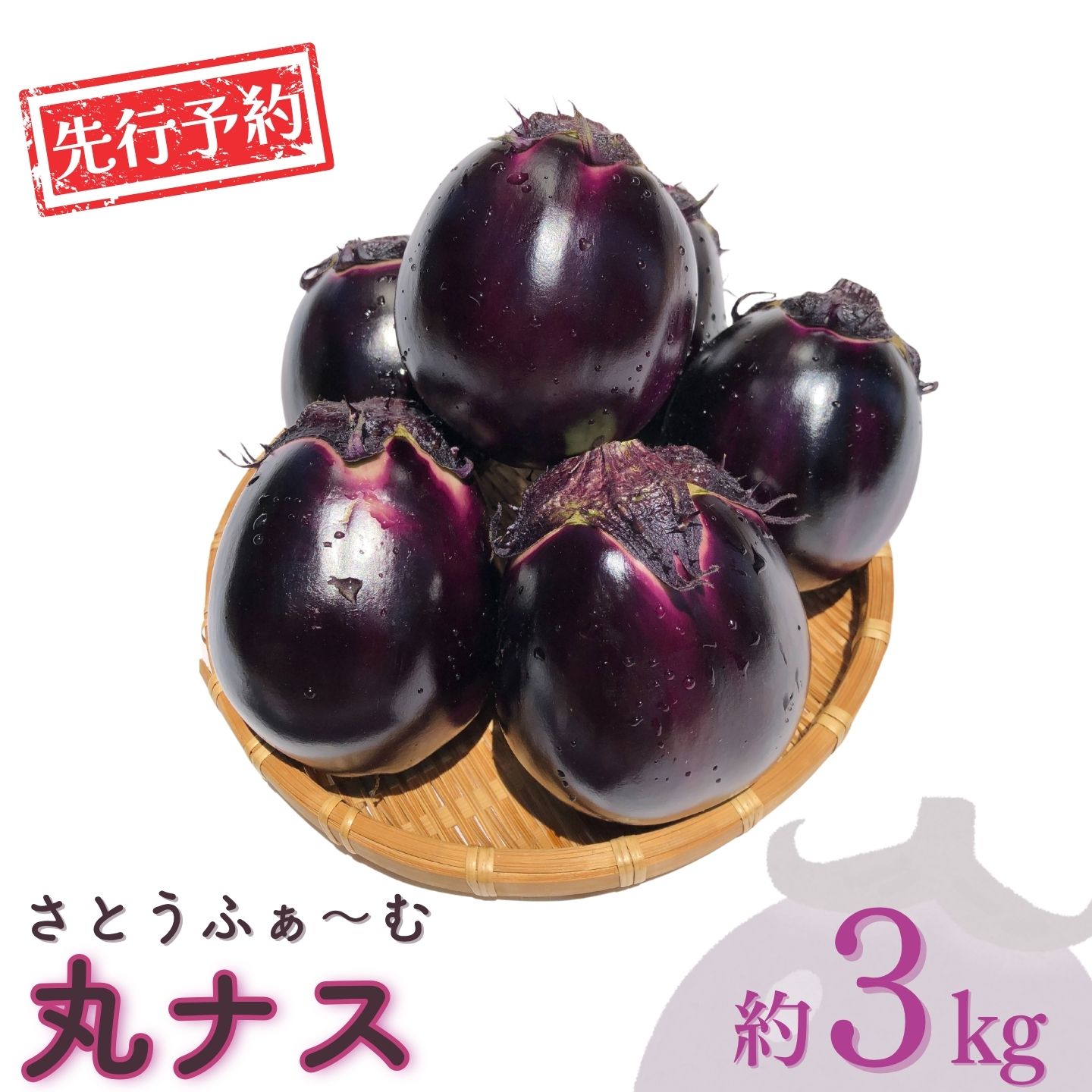 【ふるさと納税】先行予約 丸ナス 約3kg 令和8年度 灰汁が少なく甘味がある丸ナス なす 茄子 野菜 新潟県 三条市産 [さとうふぁ～む] 【010S017】