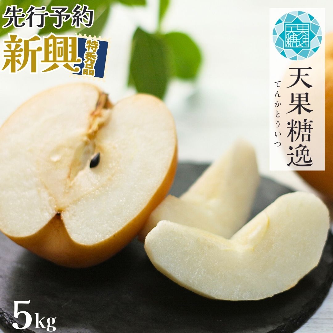 【ふるさと納税】[2026年産先行予約] 和梨 新興 特秀品 約5kg 令和8年度 糖度13度以上を厳選 令和8年度 新潟県産 梨 天果糖逸 [JAえちご中越]【013S032】