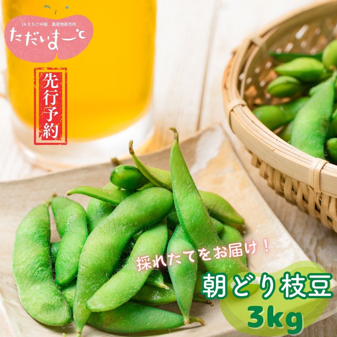 【ふるさと納税】先行予約 採れたてをお届け！朝どり枝豆 3kg（1kg×3袋）令和8年度 新潟県産 えだまめ [JAえちご中越]【015S114】