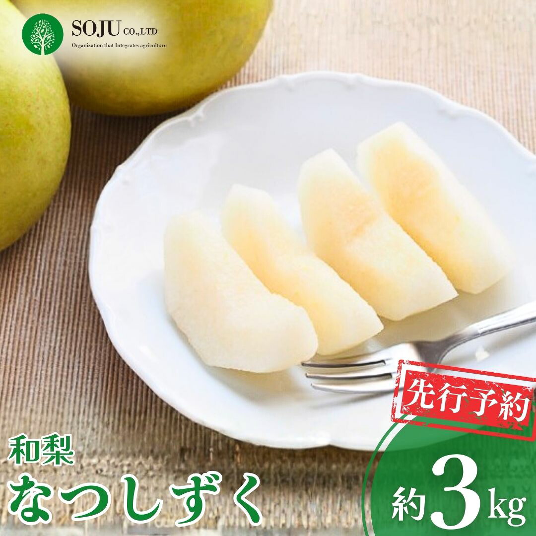 【ふるさと納税】先行予約 和梨 なつしずく 約3kg 令和8年度 新潟県 三条市産 [三条果樹専門家集団]【016P036】
