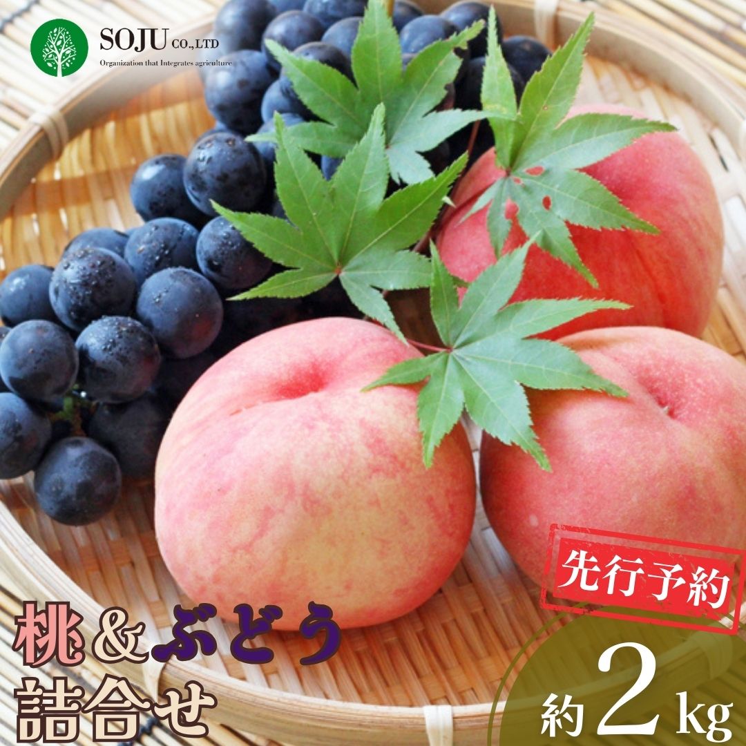 【ふるさと納税】先行予約 季節の桃&ぶどう詰合せ 約2kg 令和8年度 桃（日の出 あかつき なつっこ 川中島白桃 あきぞら 白根白桃 黄金桃） ぶどう（巨峰 シャインマスカット ロザリオビアンコ セキレイ） 贈答用 新潟県 三条市産 [三条果樹専門家集団]【016P042】画像
