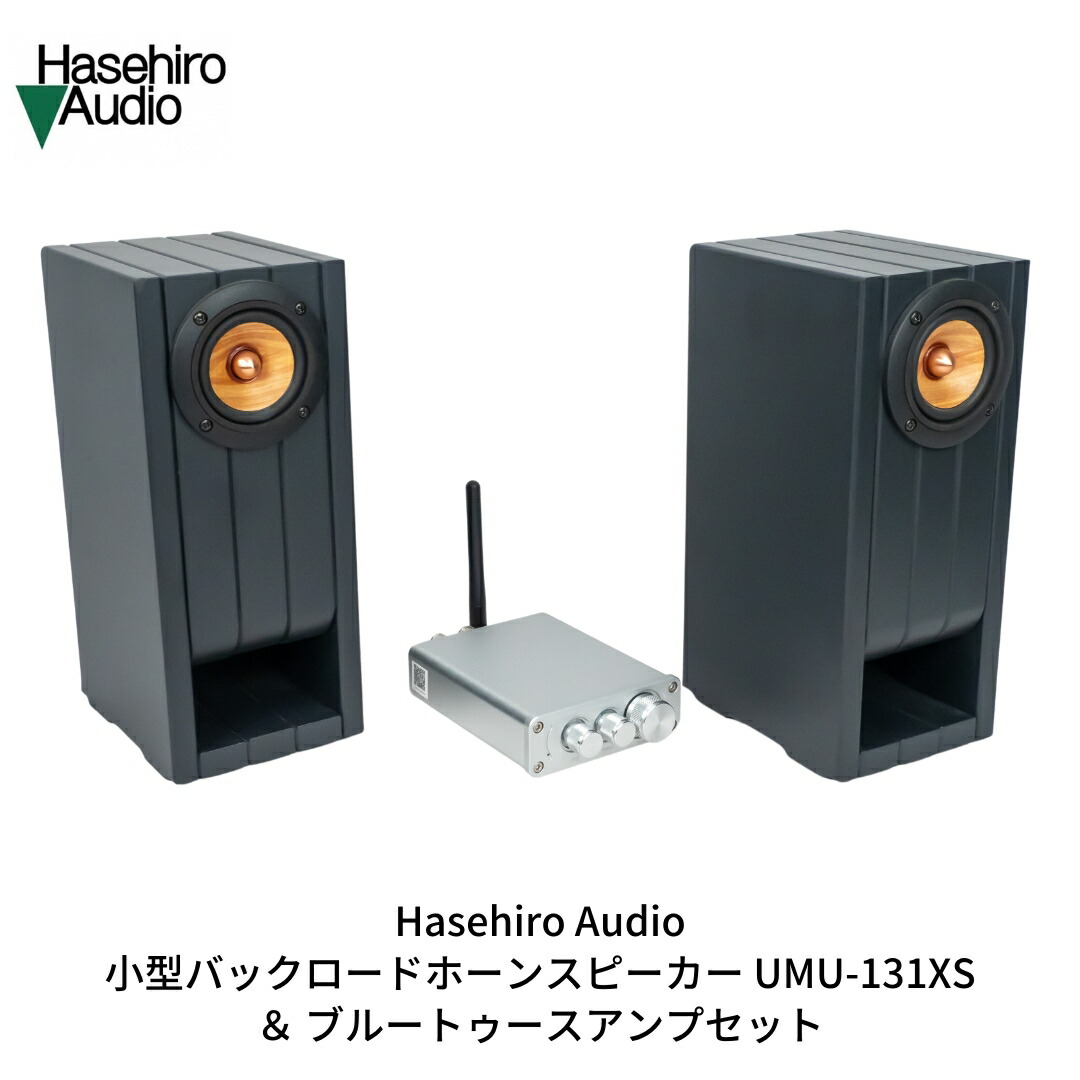 元値18万越 高音質 スピーカー ハセヒロ バックロードホーン