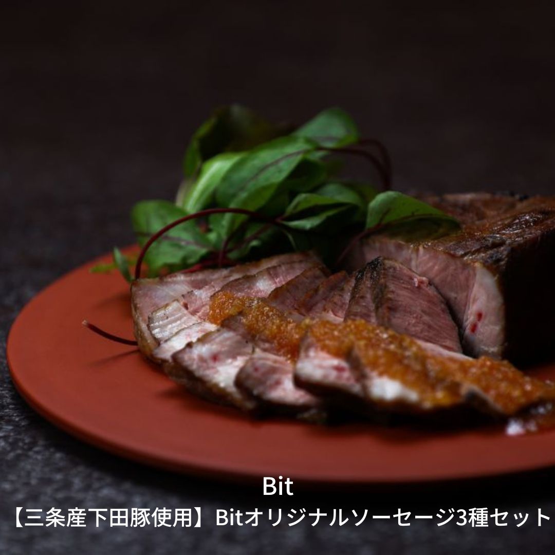 【ふるさと納税】三条産下田豚の低温調理＋自家製ガーリックソース 豚肉 柔らかい 特製ソース ブランド豚 煮沸 ボイル グルメ [燕三条Bit]【010S191】｜新潟県三条市