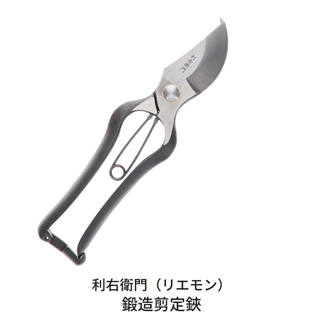 【ふるさと納税】鍛える切り落とす鋏 切り落とす鋏 園芸 ガーデニング 盆栽 [利右衛門] 【011S146】