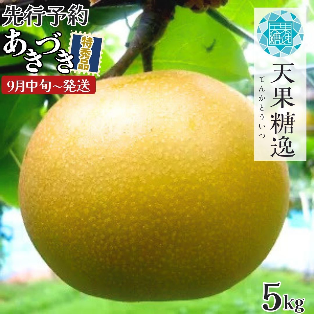 【ふるさと納税】先行予約 和梨 あきづき 特秀品 約5kg [9月中旬から発送予定] 糖度13度以上を厳選 7～12玉 令和7年度 新潟県産 天果糖逸 [JAえちご中越]【013S063】