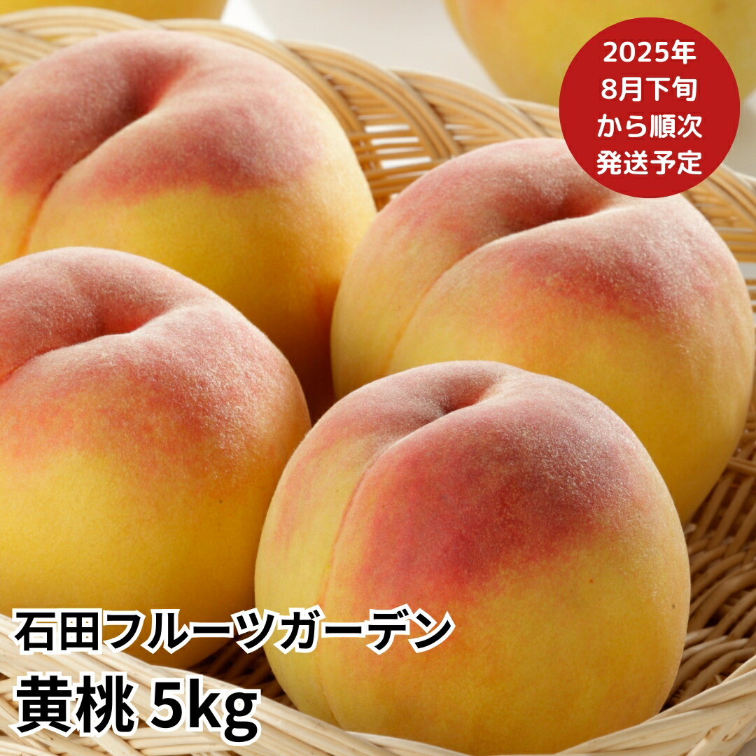【ふるさと納税】 先行予約 黄桃 約5kg(13～18個入) [2025年発送予定] 令和6年度 新潟フルーツ 新潟県産黄桃  [石田フルーツガーデン] 【017P022】