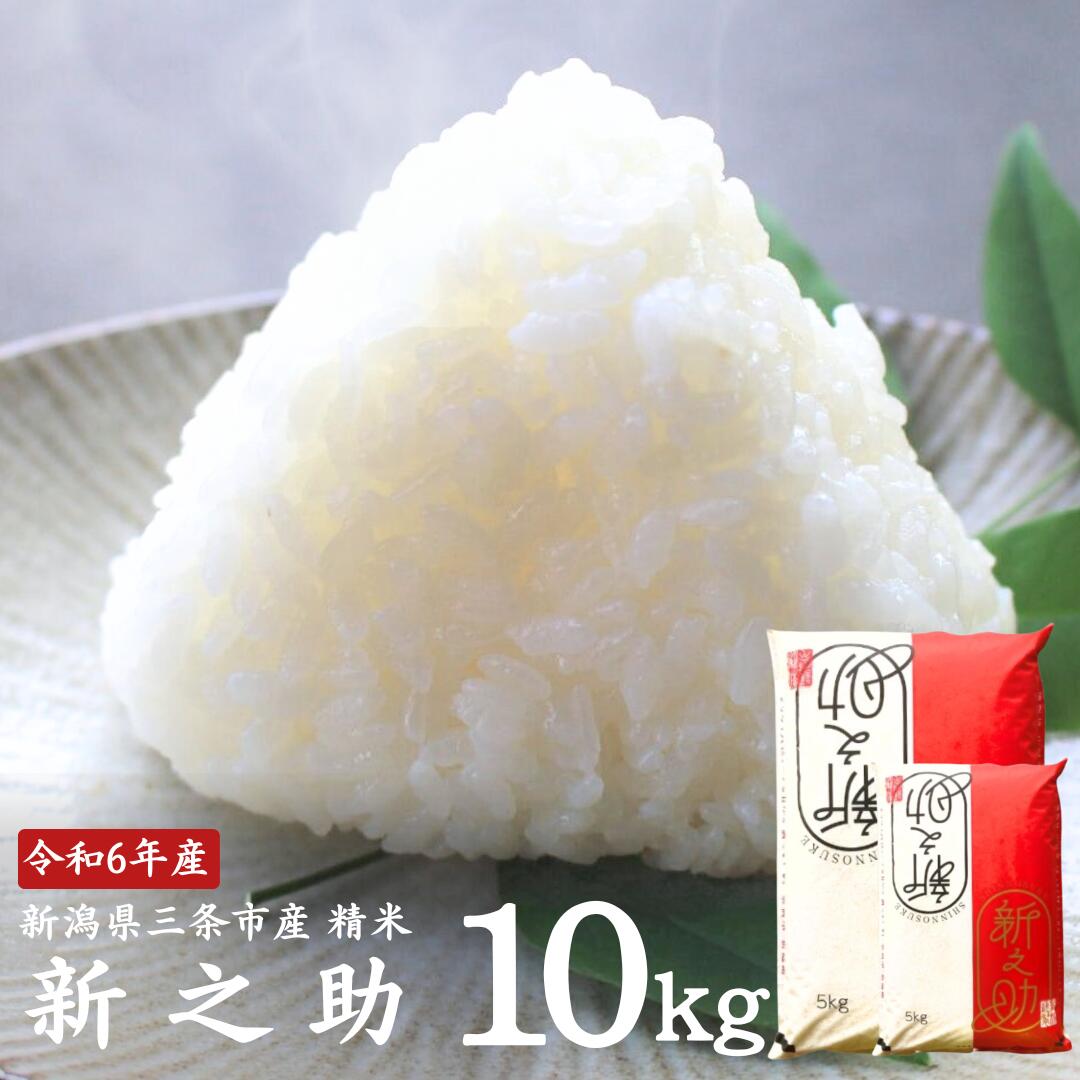 【ふるさと納税】新之助 10kg(5kg×2袋) 新潟県三条市産 精米 令和6年産 [外山敏雄商店]【020S037】