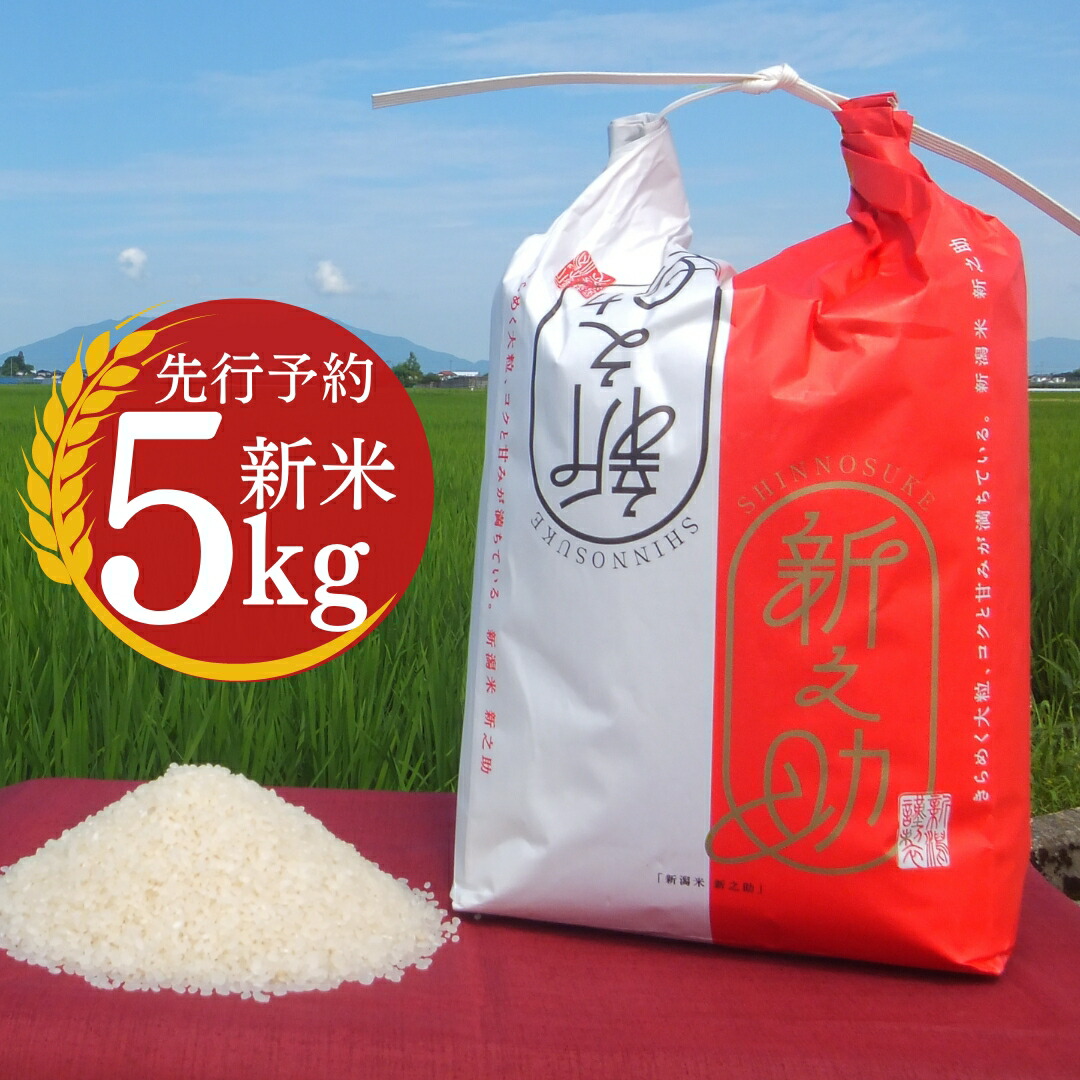 【ふるさと納税】先行予約 新米 新之助 5kg [10月中旬から発送予定] 新潟県産 令和7年産 2025年産 新之助（しんのすけ）令和7年度 [小林農園]  【010P079】