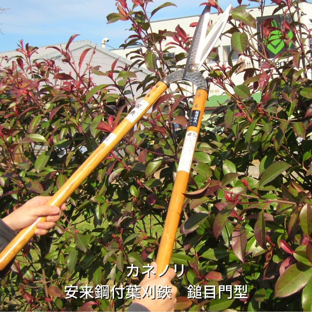 【ふるさと納税】[カネノリ] 安来鋼付葉刈鋏 鎚目門型 鋼典 火からだ付き鍛える 葉刈りばさみ 園芸 ガーデニング [五十嵐切れ物加工] 【027S013】