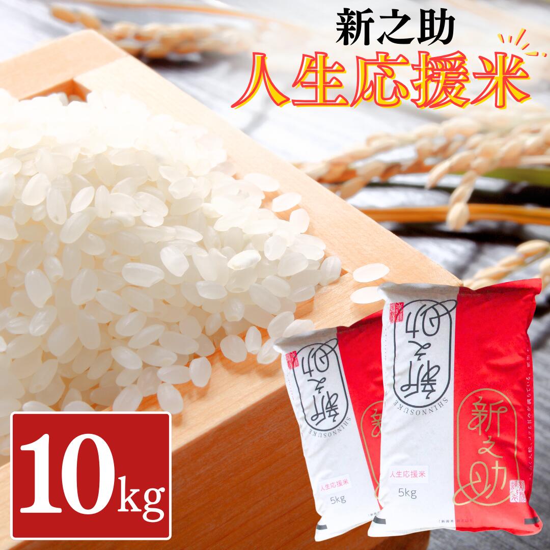 【ふるさと納税】新之助人生応援米10kg（5kg&times;2） 令和7年産 新之助 白米 アグリ巧房 【024S033】｜新潟県三条市