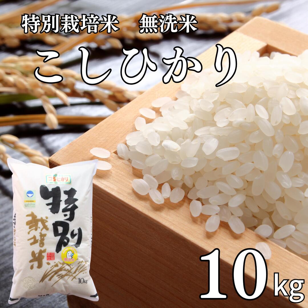【ふるさと納税】県認証 特別栽培米 コシヒカリ10kg 無洗米 新潟県認証 令和7年産 新潟県三条市産 こしひかり 【021S058】｜新潟県三条市 26,000円