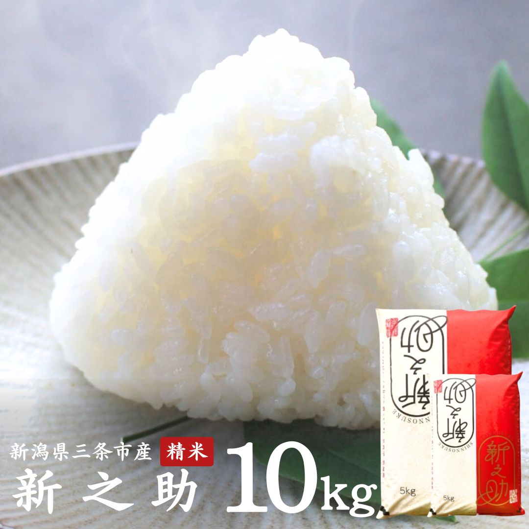 【ふるさと納税】新之助 10kg(5kg×2袋) 新潟県三条市産 精米 令和7年産 [外山敏雄商店]【020S037】