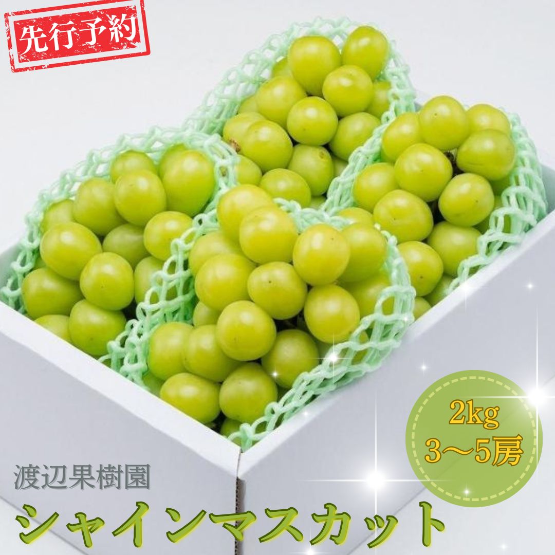 【ふるさと納税】先行予約 シャインマスカット2kg (3~5房) 令和8年度 贈答用 シャインマスカット 新潟県 三条市産 ぶどう [渡辺果樹園] 【034S008】｜新潟県三条市