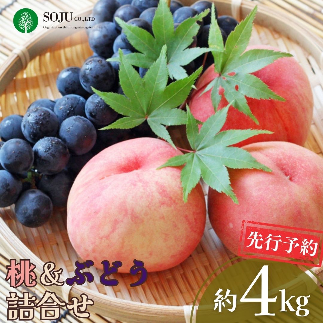 【ふるさと納税】先行予約 季節の桃&ぶどう詰合せ 約4kg 令和8年度 桃（日の出 あかつき なつっこ 川中島白桃 あきぞら 白根白桃 黄金桃） ぶどう（巨峰 シャインマスカット ロザリオビアンコ セキレイ）贈答用 新潟県 三条市産 [三条果樹専門家集団]【038P006】画像