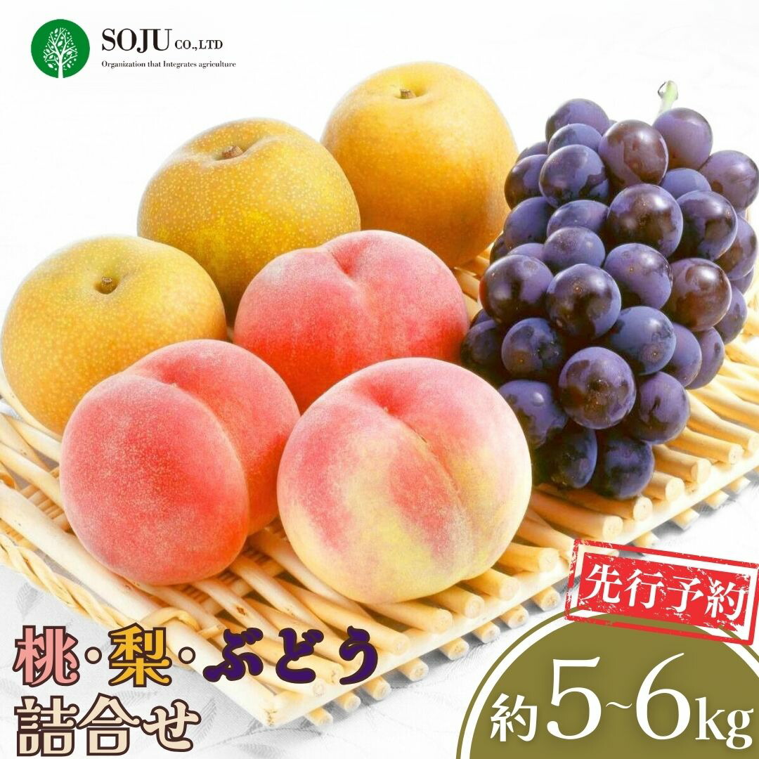 【ふるさと納税】先行予約 季節の桃・梨・ぶどうの詰合せ 合計5~6kg 令和8年度 桃 梨 和梨 ぶどう 贈答用 新潟県 三条市産 果物 [三条果樹専門家集団]【035P010】