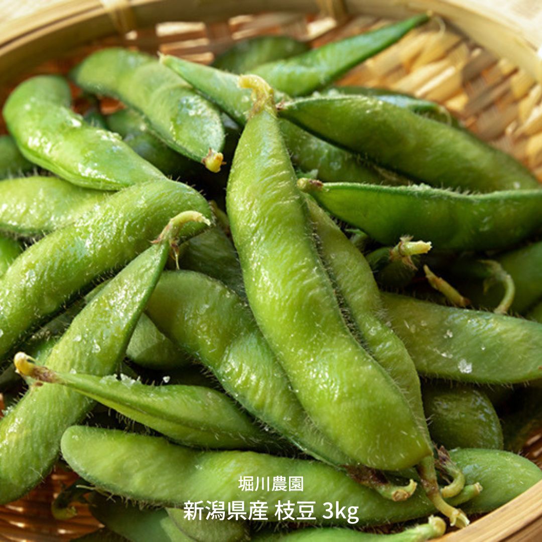 激安正規 新潟県産 枝豆 3kg 陽恵 Fucoa Cl