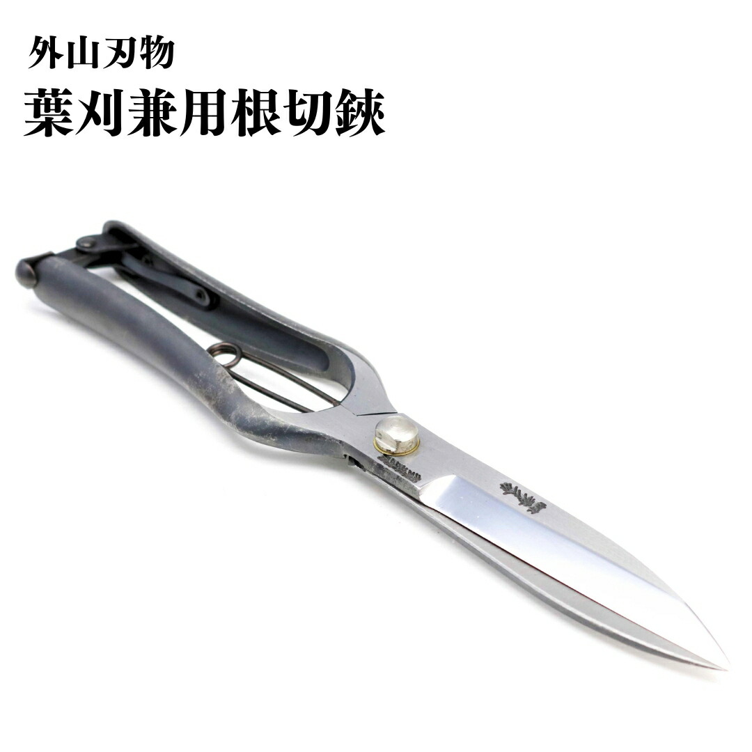 今季注目 在庫あり  【M7ULIFY365G】 限定デザイン