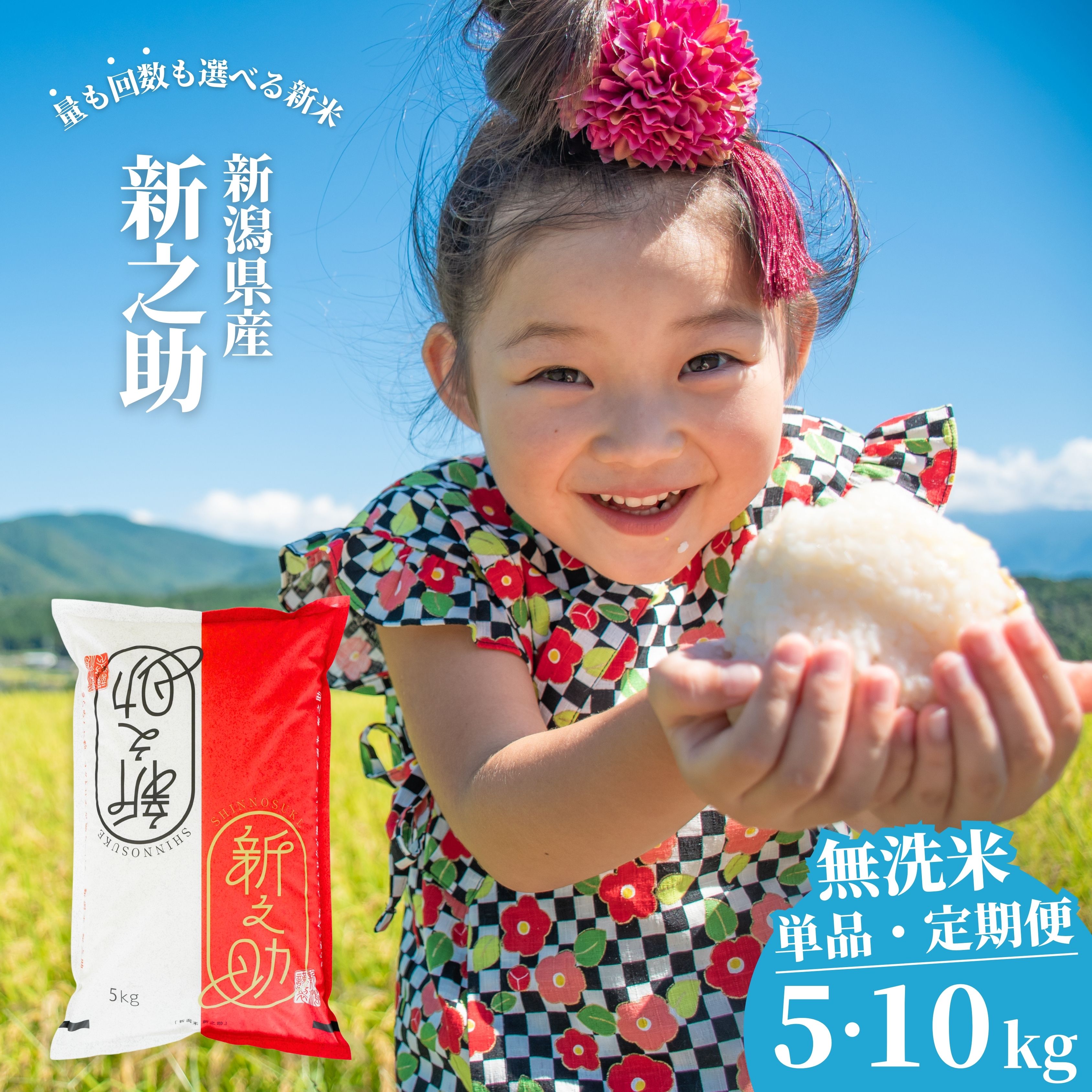 【ふるさと納税】新潟県産 無洗米 新之助 5kg・10kg 選べる配送回数（1・3・6回）しんのすけ 令和7年産 [株式会社白熊]