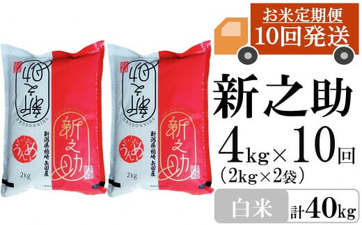 【ふるさと納税】新米先行予約【令和8年産米・10ヶ月定期便】新之助 白米 4kg（2kg&times;2袋）&times;10回（計 40kg）ヤタらうんめぇ しんのすけ 水田環境鑑定士在籍[Y0339]【新潟県 柏崎市 】｜新潟県柏崎市