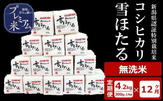 ふるさと納税】【12ヶ月定期便】甘味の強いプレミアム米 雪ほたる 新潟