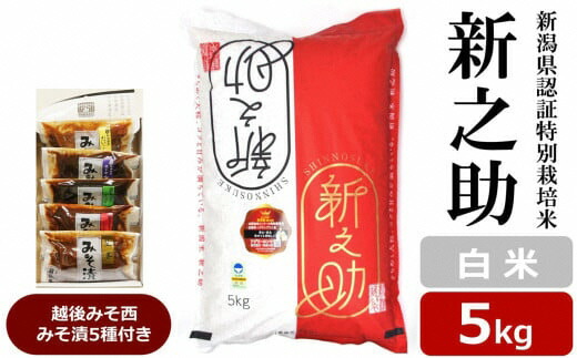 【ふるさと納税】【令和7年産米】新之助 白米 5kg 新潟県認証特別栽培米 ＆ 越後みそ西みそ漬5種セット [Y0519]【新潟県 柏崎市 】