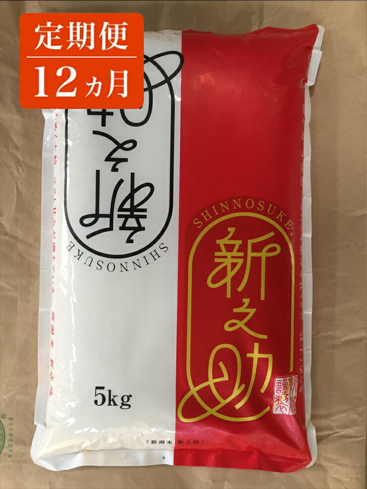 年最新海外 ふるさと納税 定期便 12ヵ月 特別栽培 柏崎産 新之助 毎月5kg 2袋お届け 白米 新潟県 柏崎市 時間指定不可 Lexusoman Com