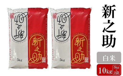 【ふるさと納税】令和6年産米【五ツ星お米マイスター厳選】新之助 白米 10kg（5kg×2袋）[Y0436]【 新潟県 柏崎市 】